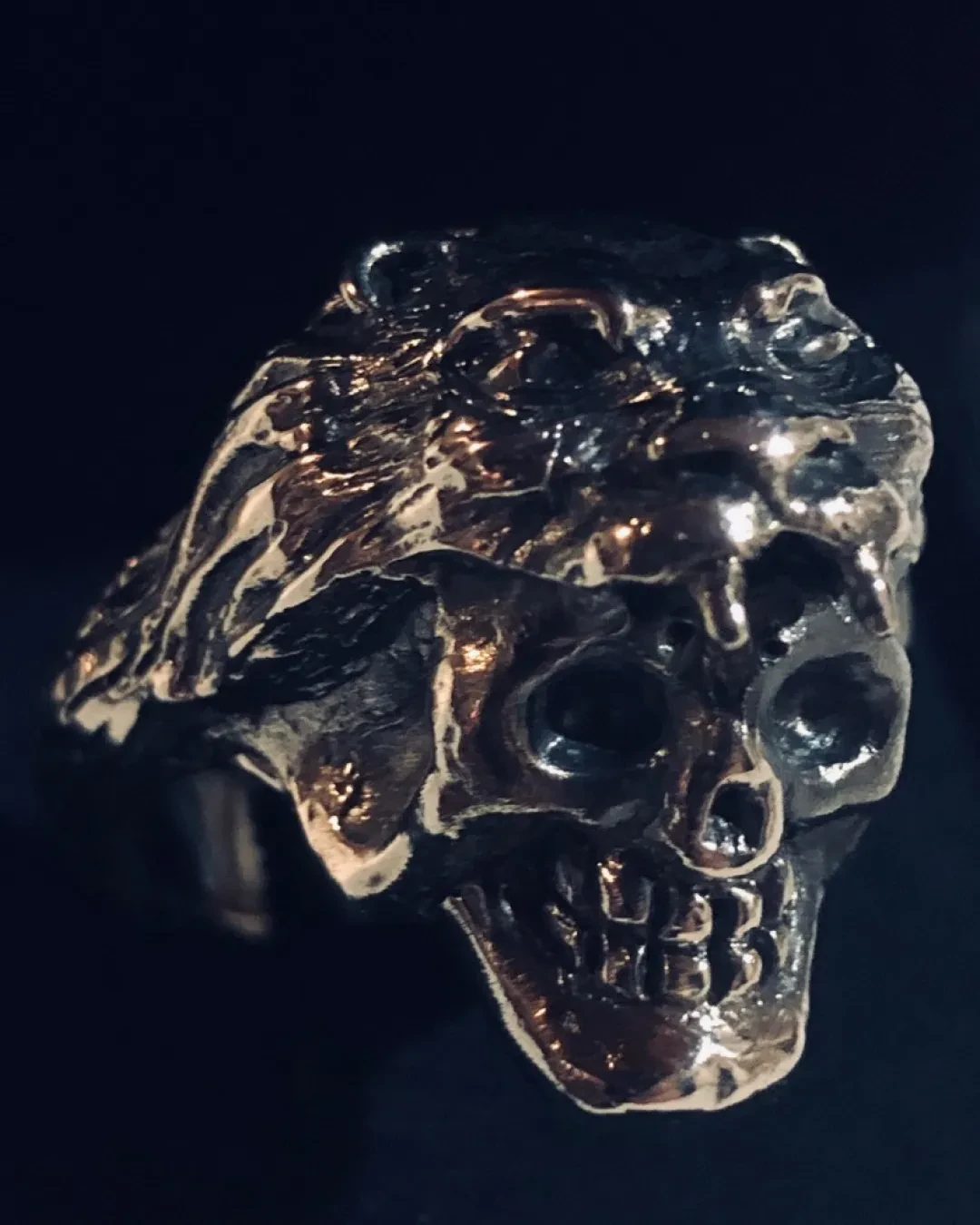 The Skull Of Hercules With Nemea Lion
