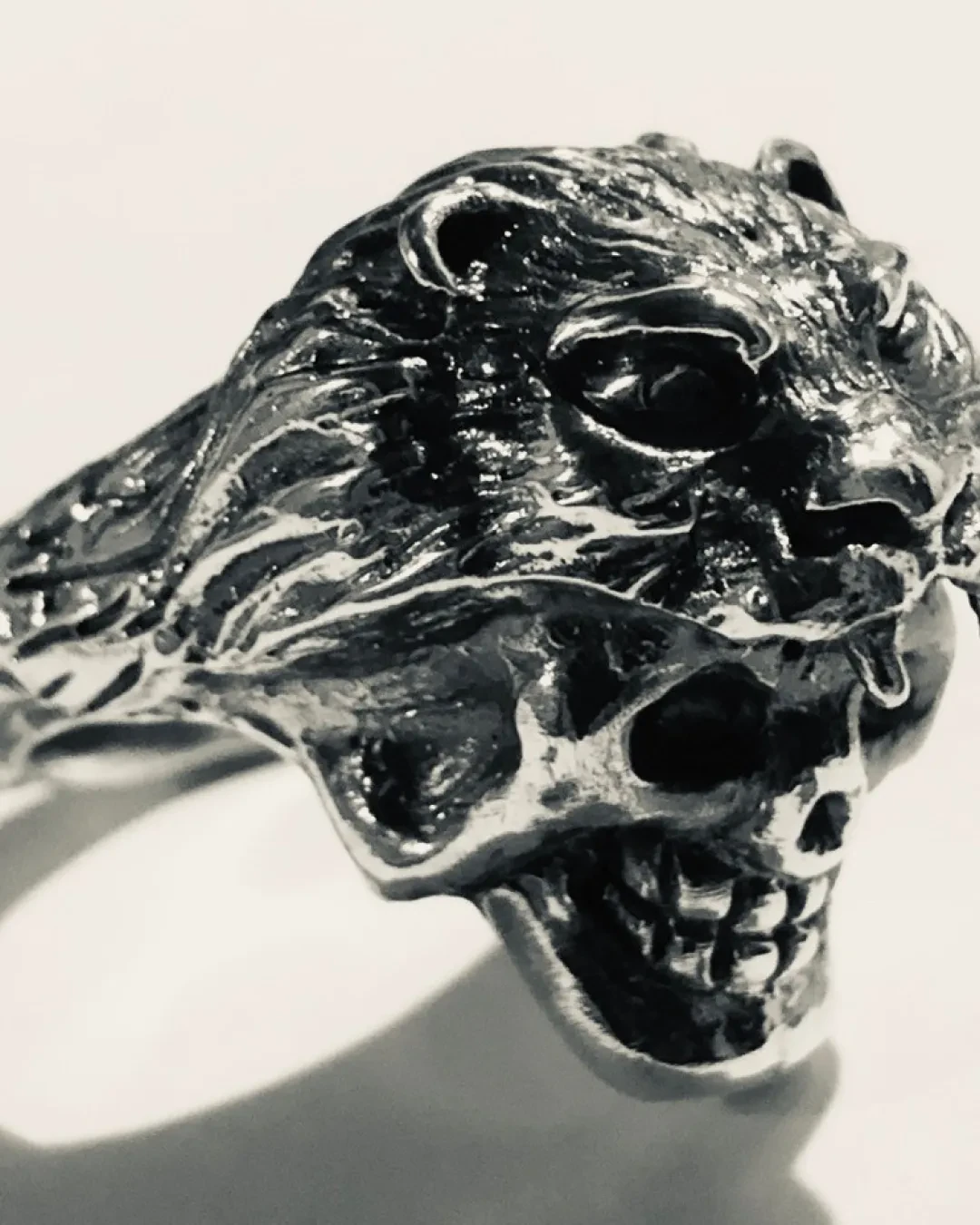 The Skull Of Hercules With Nemea Lion
